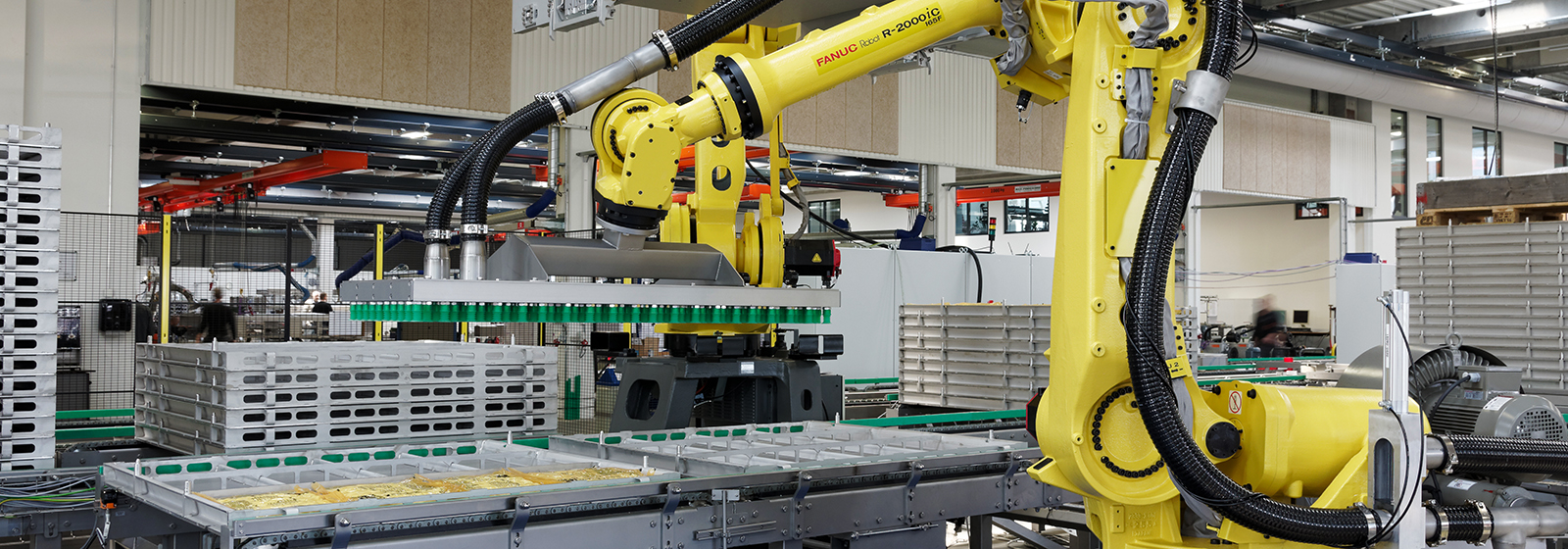 palletising robot handling food